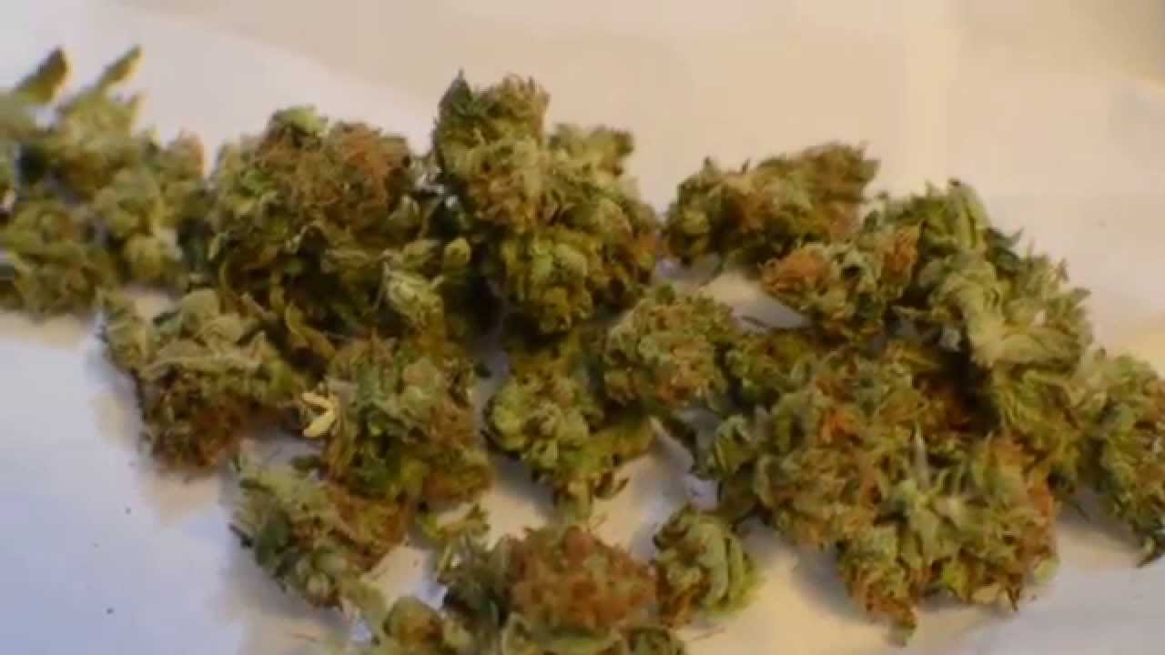 Herojuana BUD UP CLOSE