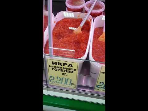 Путешествие на Камчатку