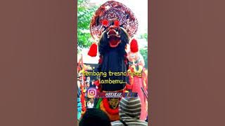 Cocok buat story WA ,lagu 'Tembang Tresno' cover jaranan ROGO SAMBOYO PUTRO