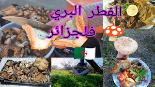 طريقة طبخ الفطر البري ?(الفقاع)كيف تميز الفطر السام والصالح للاكل?Champignons sauvages