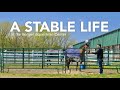 A stable life  equine therapy at bergen county equestrian center