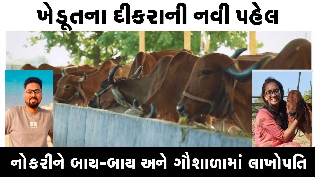 એક કીલો ઘીનો ભાવ અઢી હજાર અને દરરોજ 10 હજારનું દૂધ ll સેવા સાથે લાખોની કમાણી ll