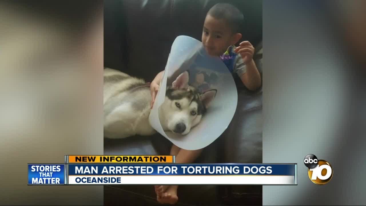 Man arrested for brutally torturing dogs YouTube