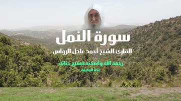 المصحف المرتل | سورة النمل | للشيخ أحمد عادل الرواس