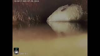Camera Inspection (Lodi) to Street from Vent