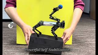 Desktop level XGO-lite quadruped robot｜Embodied AI Interaction