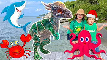 Changcady gặp gỡ các con vật ở bãi biển: cá heo, cá mập, bạch tuộc, con cua, khủng long - Part 374