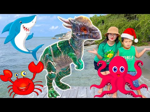 Video Changcady gặp gỡ các con vật ở bãi biển: cá heo, cá... - youtube