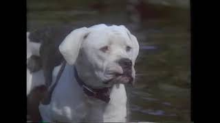 Hb Epkclips Animalsfeaturetre