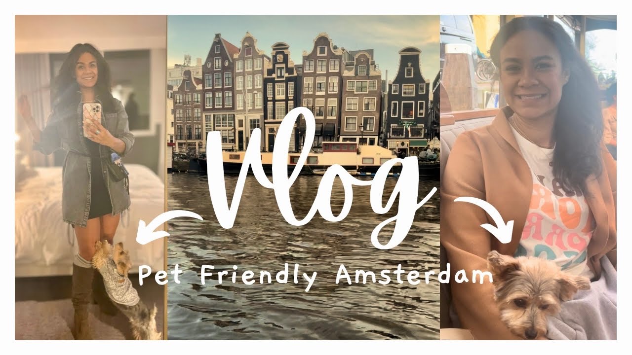 Pet Friendly Amsterdam YouTube