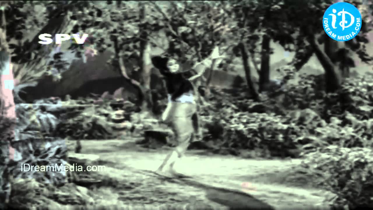 Bhagya Chakram Movie Songs - Vaana Kaadu Vaana Kaadu Song - NTR - Saroja Devi B