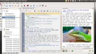 Famous calibre 1 26 editor Wealth