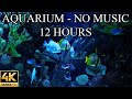 AQUARIUM 4K Coral Reef 4K Aquarium No Music No Ads 12 Hours Aquarium Sounds For Sleeping AQUARIUM 4K Coral Reef 4K Aquarium No Music No Ads 12 Hours Aquarium Sounds For Sleeping