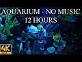 AQUARIUM 4K Coral Reef 4K Aquarium No Music No Ads - 12 Hours | Aquarium Sounds For Sleeping