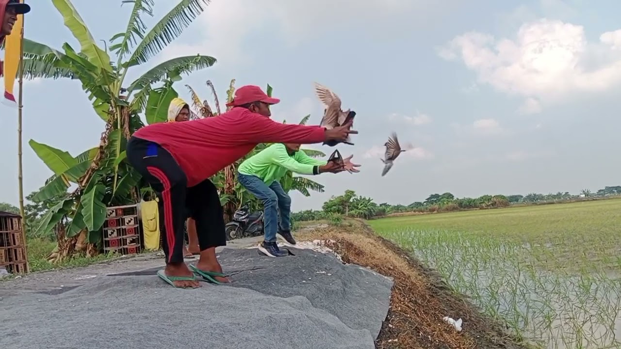 lomba hari minggu 1000 M. lp. dukuan glagah