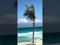 Summer vacation peaceful vibe 2026