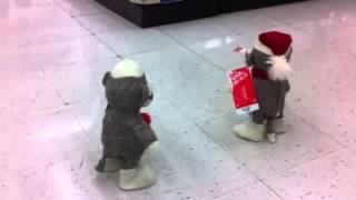 Dancing and singing sock monkeys!!!!!