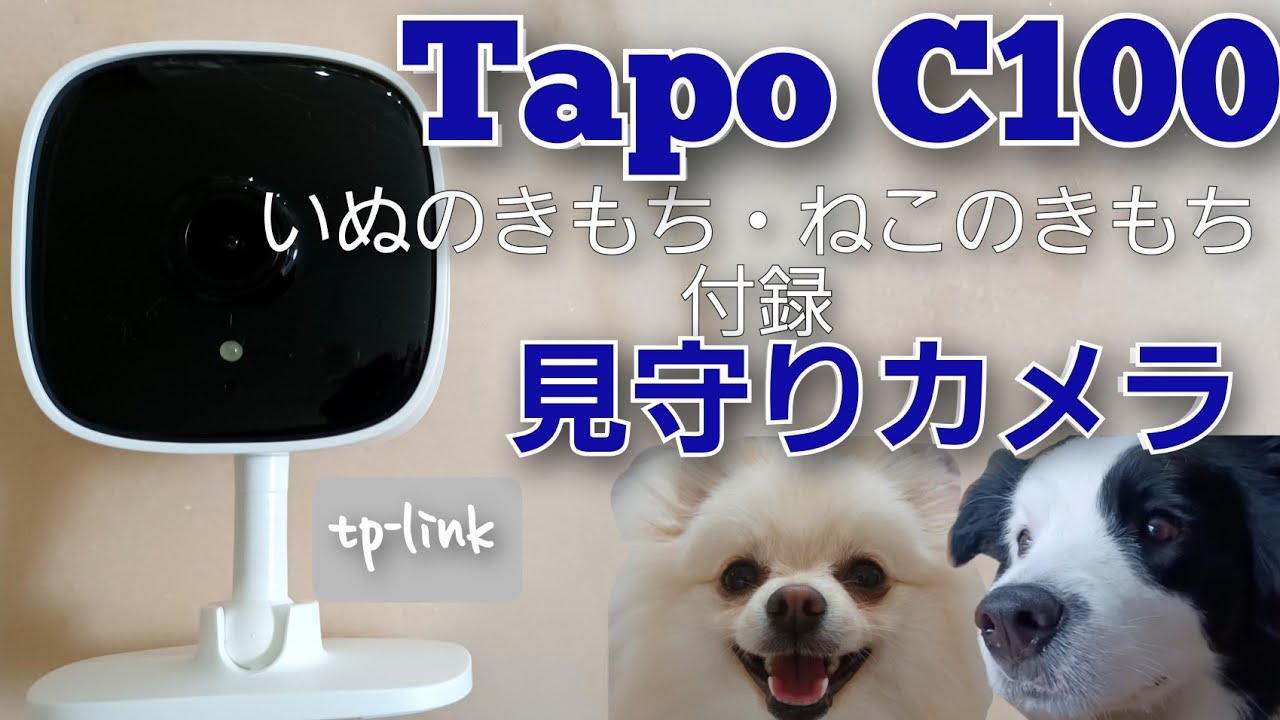 初心者むけ犬猫見守りカメラ いぬのきもち ねこのきもち付録 ペット 子供 Tplink Tapo C100 Youtube