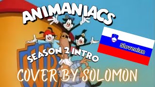 Animaniacs - Season 2 Intro (Slovenian) Cover