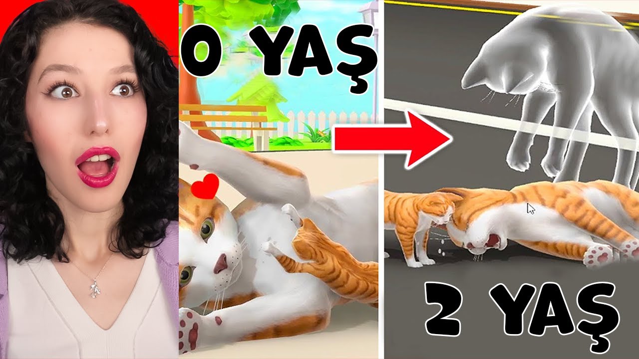 DOĞUMDAN ÖLÜME BİR KEDİ OLMAK! - Cat Life Simulator !
