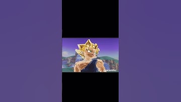 GT Goku has the best Ultimate Attack in DBZ Infinite World..