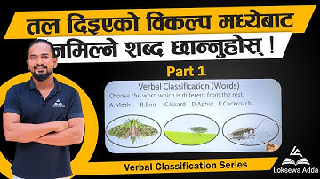 Verbal Classification- शाव्दिक वर्गीकरण | Loksewa Adda