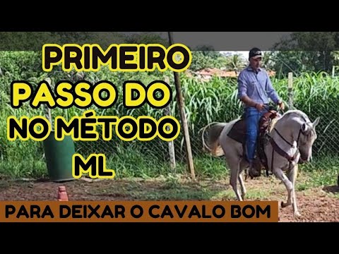 PRIMEIRO PASSO DO MÉTODO ML PARA CAVALO FICAR MANSO