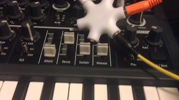 Microbrute receiving sync from Octatrack