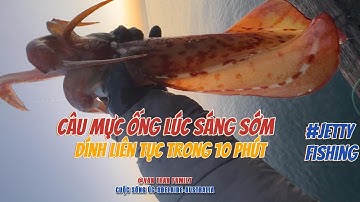 🇦🇺#Full Mười Phút lúc Bình Minh Sáng Sớm: Giờ vàng Đi Câu Mực ở ÚC|#jettyfishing #caumuc #CuocSongUc