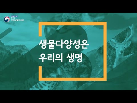 [생물다양성 교육] 생물다양성은 우리의 생명