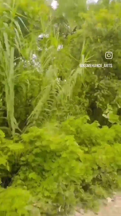 Aakhidurchalejaiham🌹🌹🌹duritankichusakenakoigam💐💐💐🌹