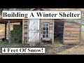 #381 - Building A Winter Shelter For Animals (4' of Snow)