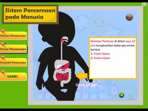 E Learning Content Sistem  Pencernaan  Manusia di www indi 