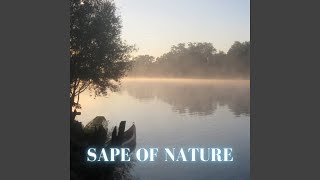 Sape of Nature