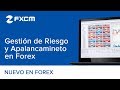 GESTIÓN DE RIESGO Y MONETARIA - FOREX (VIDEO #1) - YouTube
