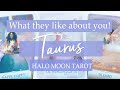 TAURUS - WHAT THEY LIKE ABOUT YOU