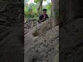 suddenly appeared from behind a rock #shortvideo #explore