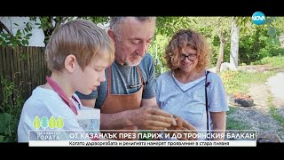картинка: Да хванеш гората (07.05.2023)