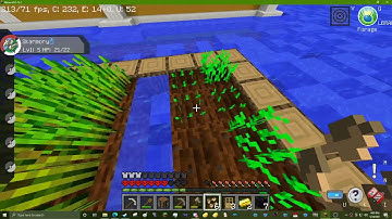 Weird Minecraft java glitch in 1.12.2 (read desc)