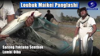 Download Lagu Loubuk Maikei Panglashi | Sareng Yoktuna Senthok Lambi Oiba MP3