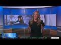 Candidates for Norfolk County District Attorney on Karen Read investigation