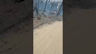 حريق تتعرض له مزارع غمسي الواقعة شرقي الهفوف