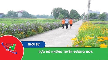 Rực rỡ những tuyến đường hoa