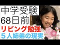 中学受験68日前【リビング勉強の現実編】