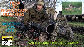 How To Photograph Birds in Winter (Detailed Guide and Fieldfare Session)