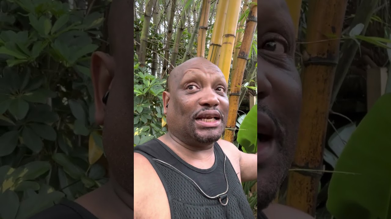 Are the Saudis interest in MULN car company or MULN battery technology because they own Lucid?