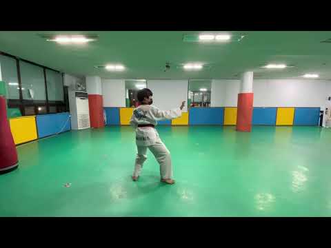 2021 백석대학교 총장배 온라인 국제 태권도대회 (도장리그) - 신태인태권도 초등 5학년부 김규선