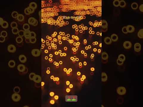 दीपावली की हार्दिक शुभकामनाएं #happy #festival #diwali #diwalispecial