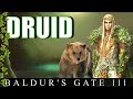 The Druid Class | Baldur's Gate 3 Guide (D&D)