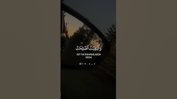 المال والبنون زينة الحياة الدنيا 🤍القارئ ماهر المعيقلي اجمل صوت #quran #قران #fyp #facts
